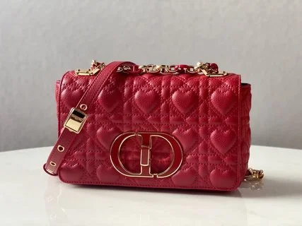 Christian Dior Bags - 5501